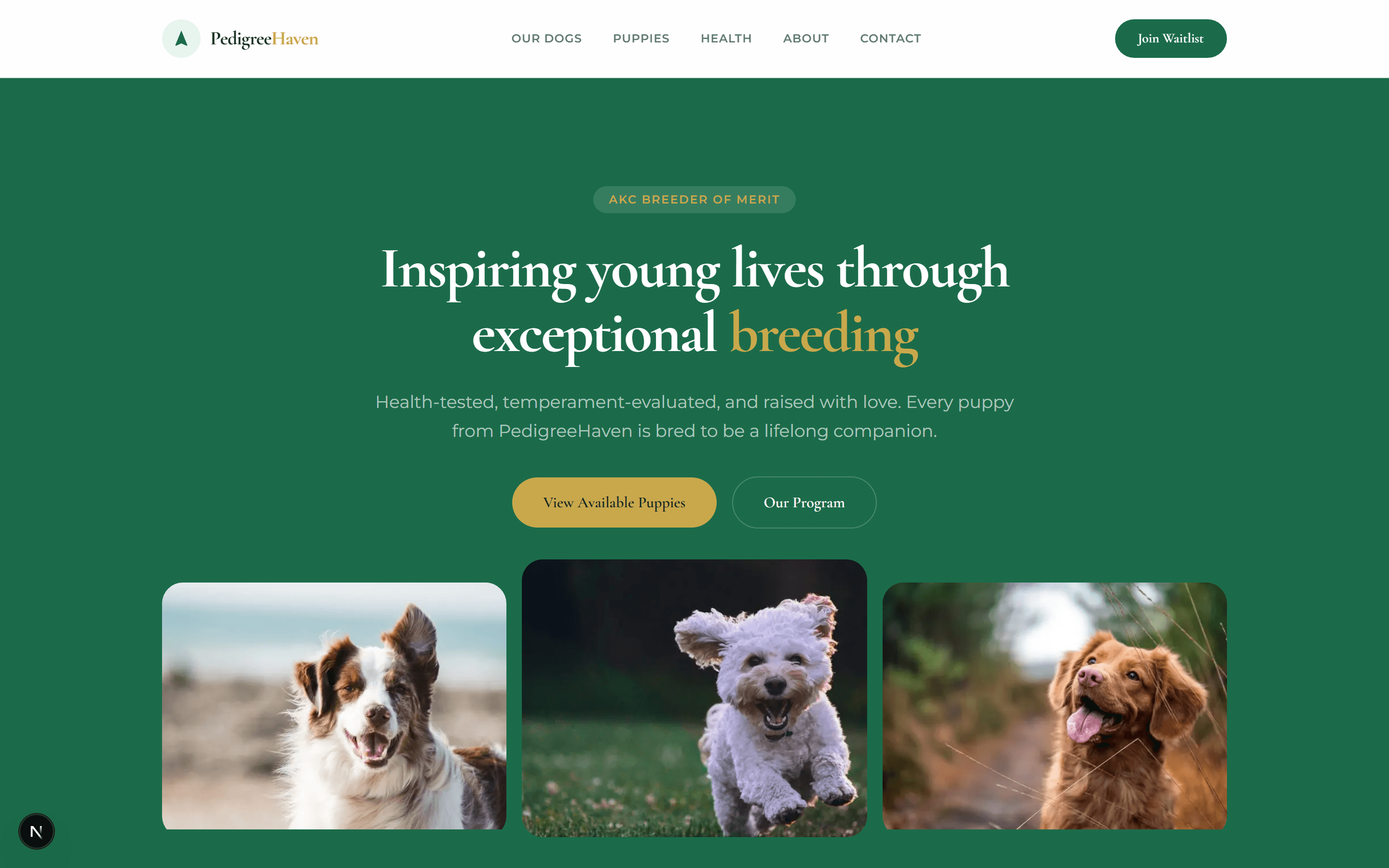Website for dog breeders