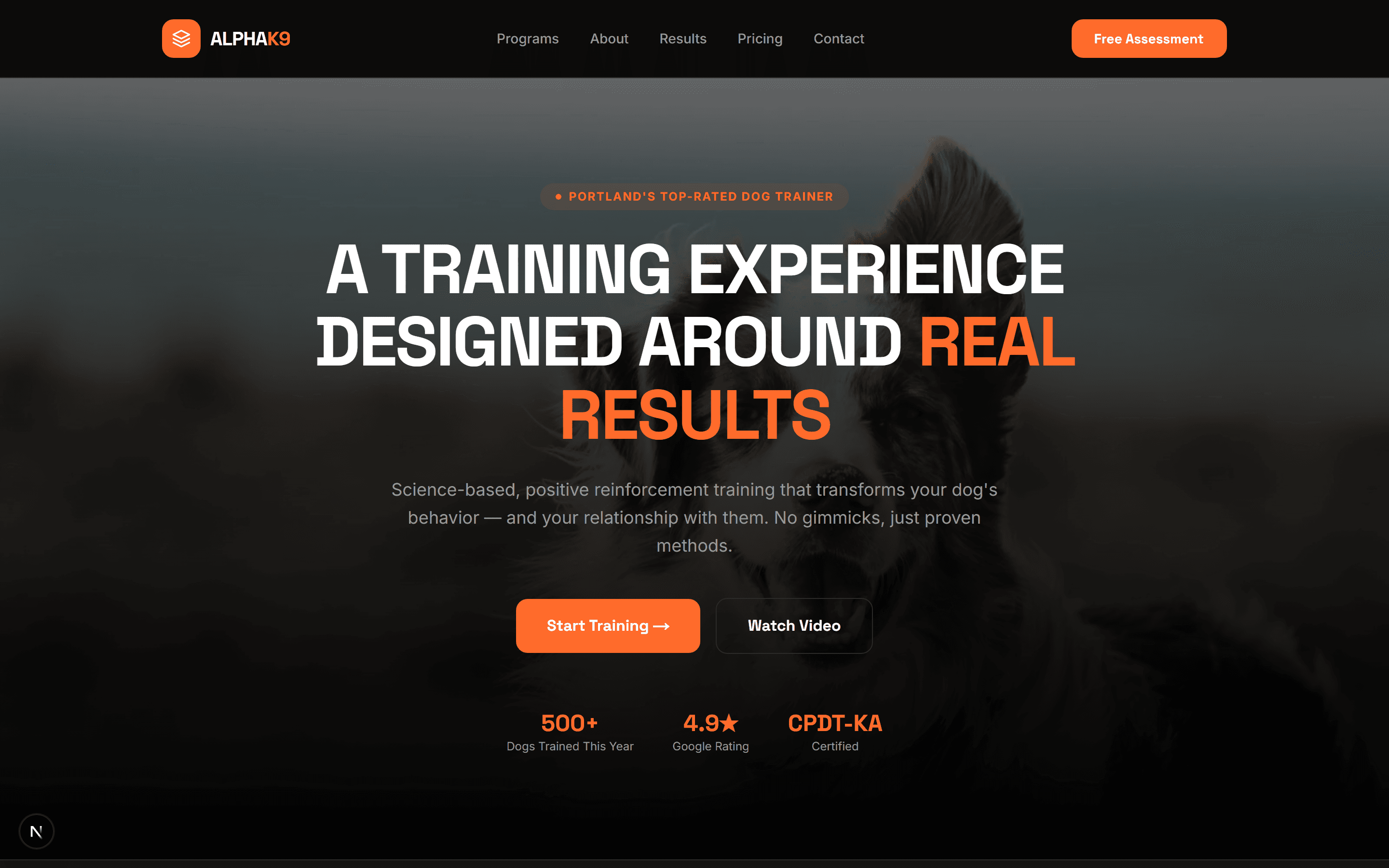 SEO pour éducateurs canins : comment mieux se classer sur Google