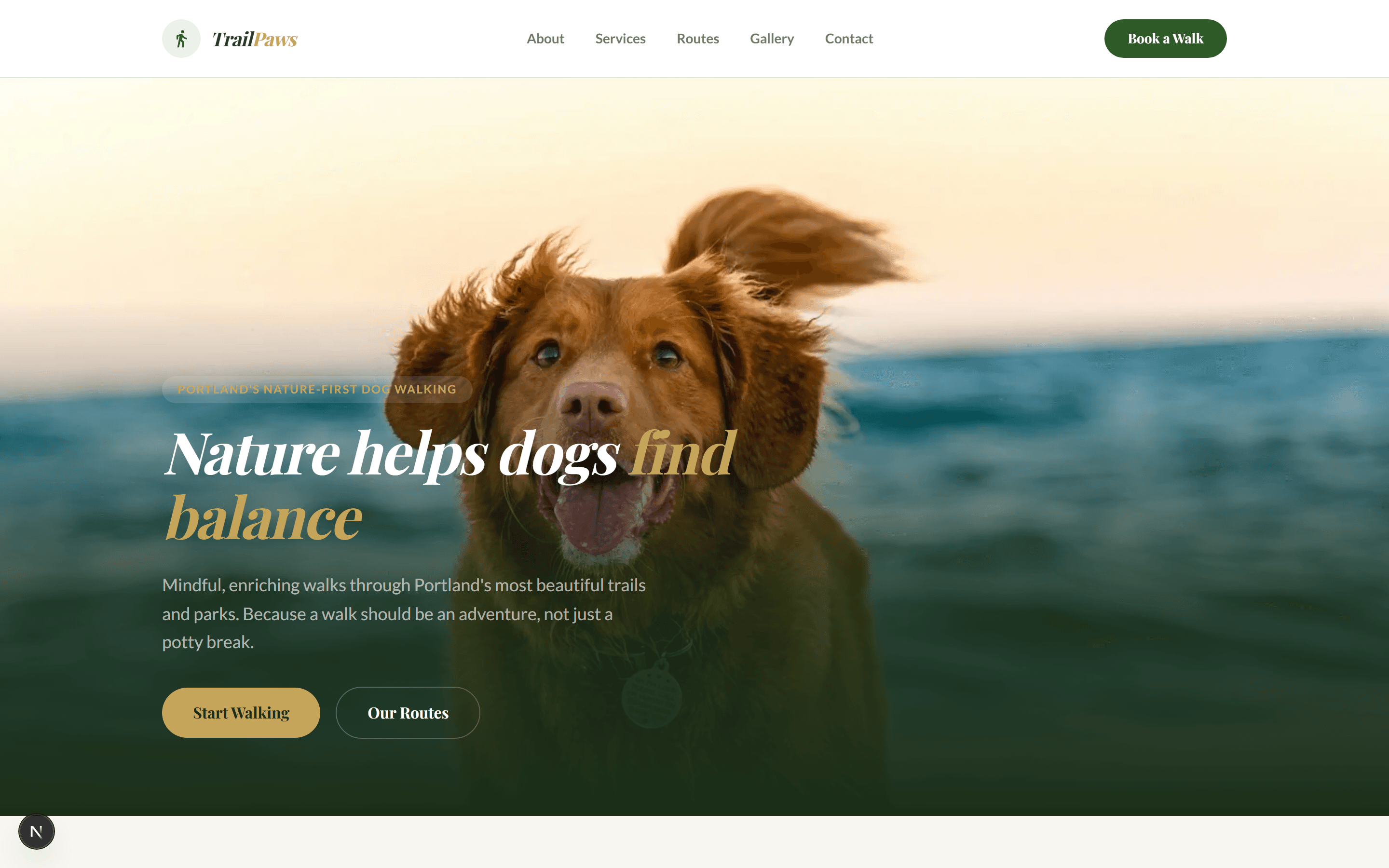 Comment démarrer une entreprise de promenade de chiens : liste complète